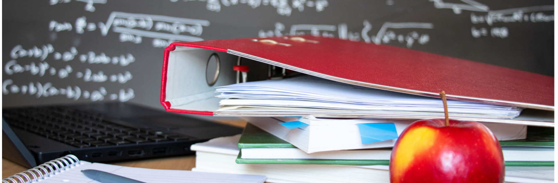 Bildung darf kein Sparobjekt sein  nicht in Brandenburg und nicht bei uns in Neuenhagen!